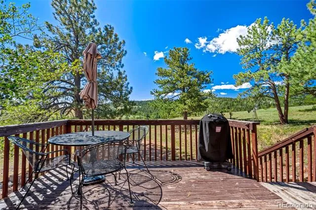 189 Saddle Lane Lake George, CO 80827