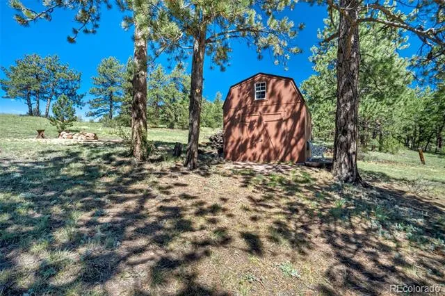 189 Saddle Lane Lake George, CO 80827