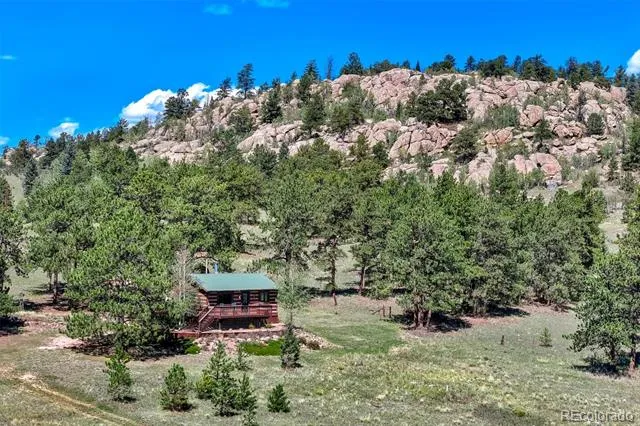 189 Saddle Lane Lake George, CO 80827