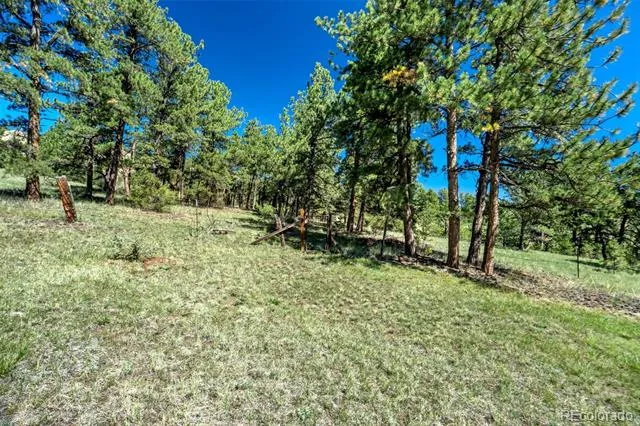 189 Saddle Lane Lake George, CO 80827
