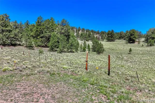 189 Saddle Lane Lake George, CO 80827