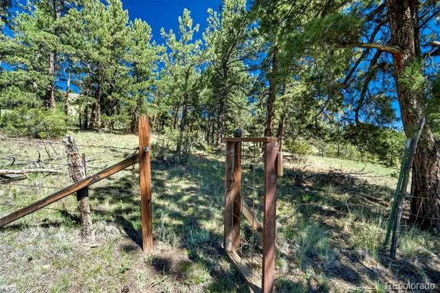189 Saddle Lane Lake George, CO 80827