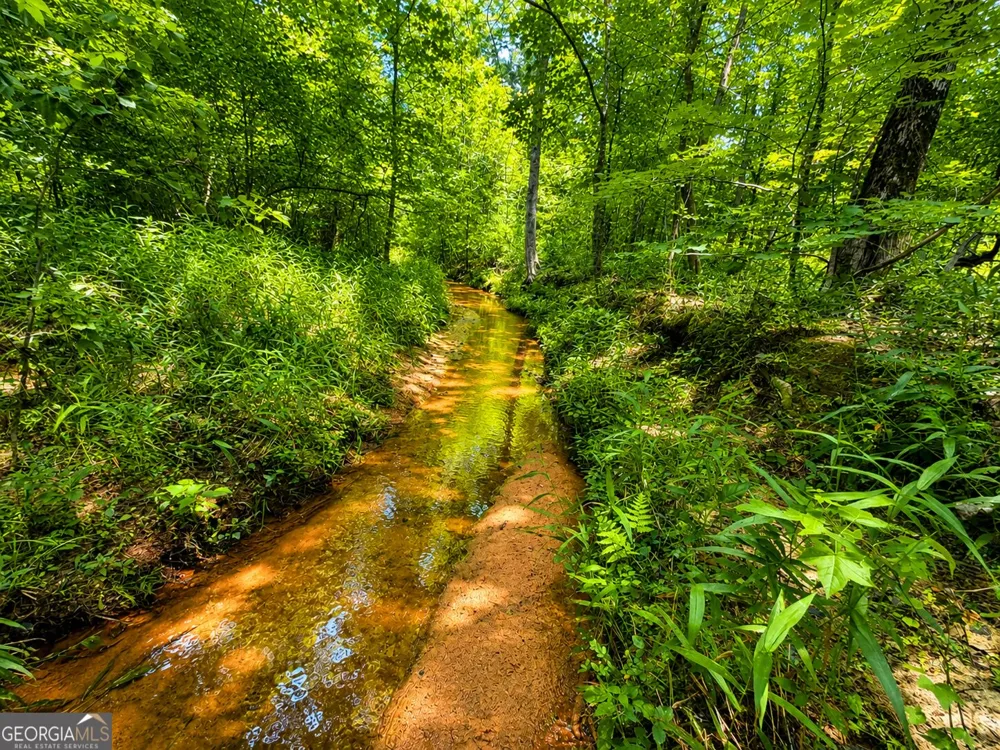 29 ACRES Cochran RD Madison, GA 30650