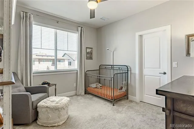 146 Kitselman Drive Castle Rock, CO 80104