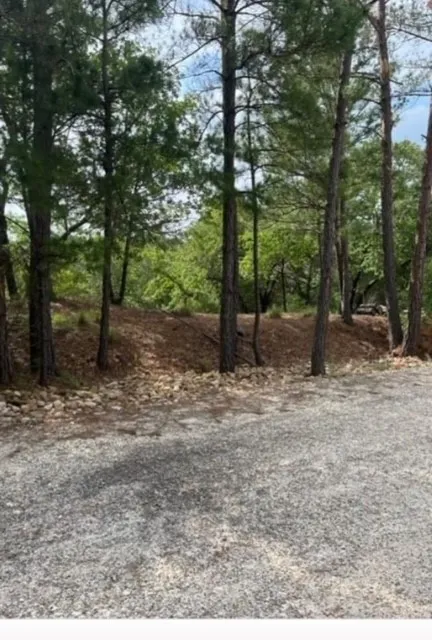 1114 KAOHIKAIPU DRIVE Bastrop, TX 78602