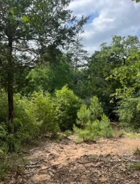 1114 KAOHIKAIPU DRIVE Bastrop, TX 78602