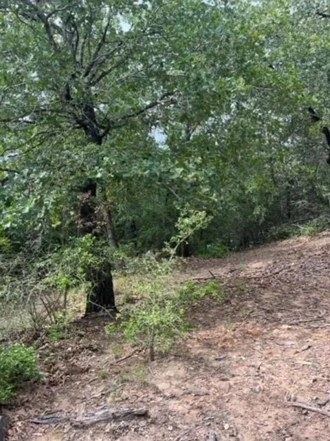 1114 KAOHIKAIPU DRIVE Bastrop, TX 78602
