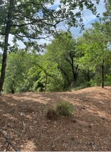 1114 KAOHIKAIPU DRIVE Bastrop, TX 78602