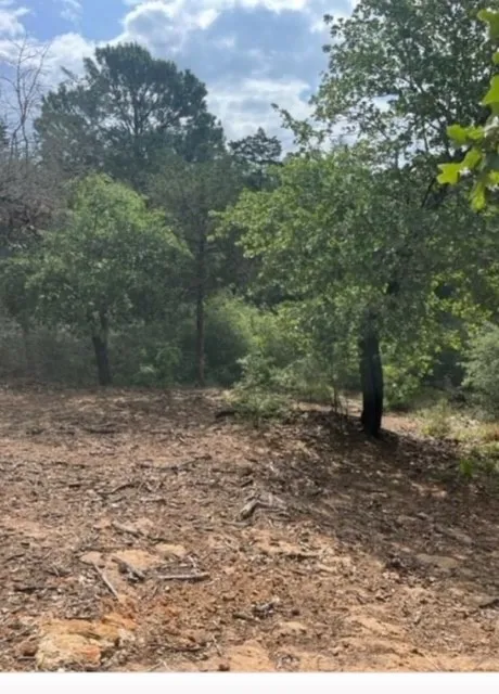 1114 KAOHIKAIPU DRIVE Bastrop, TX 78602