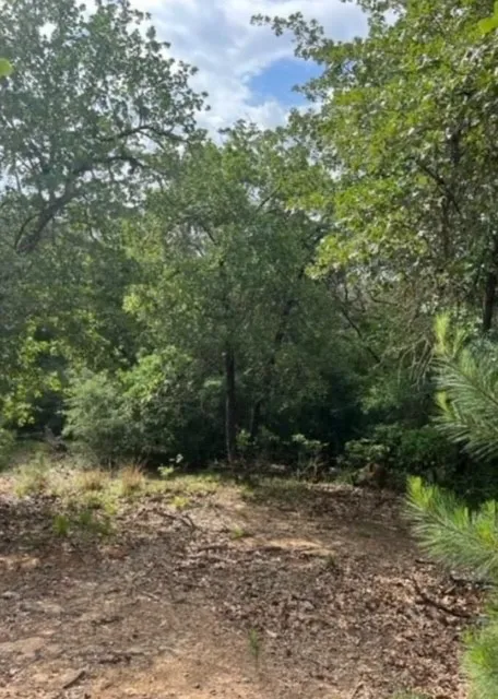 1114 KAOHIKAIPU DRIVE Bastrop, TX 78602