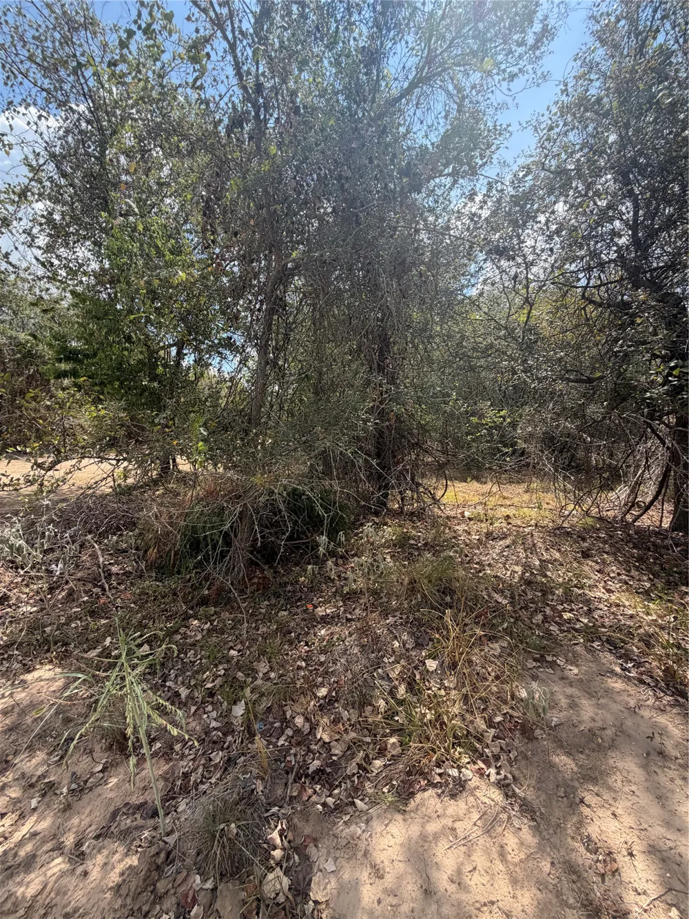 155 Waimanalo Lane Bastrop, TX 78602