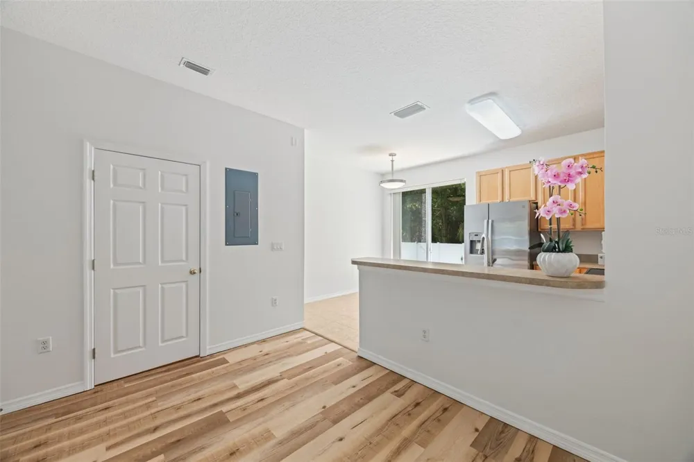 11608 DECLARATION DRIVE Tampa, FL 33635