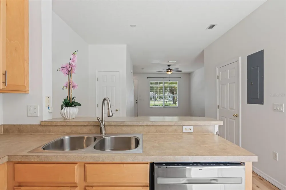 11608 DECLARATION DRIVE Tampa, FL 33635