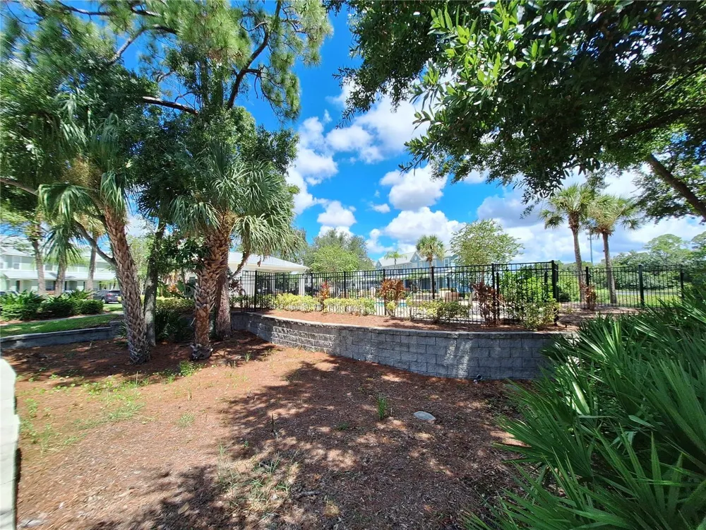 11608 DECLARATION DRIVE Tampa, FL 33635