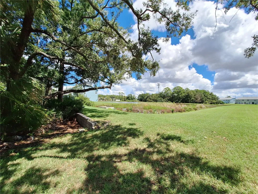 11608 DECLARATION DRIVE Tampa, FL 33635