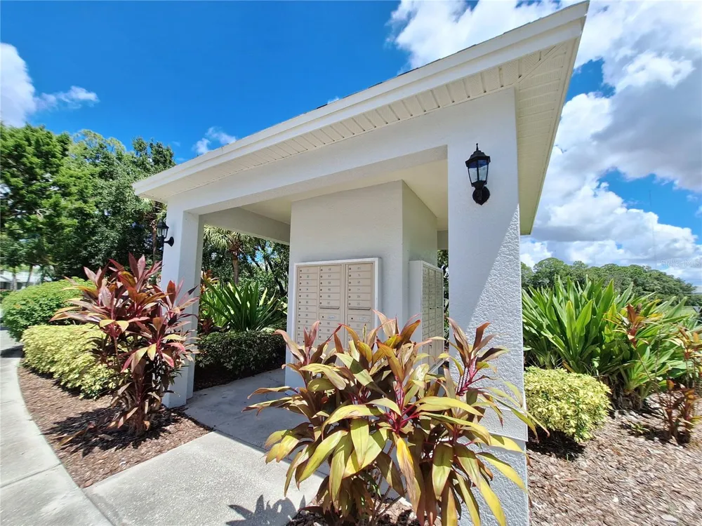 11608 DECLARATION DRIVE Tampa, FL 33635