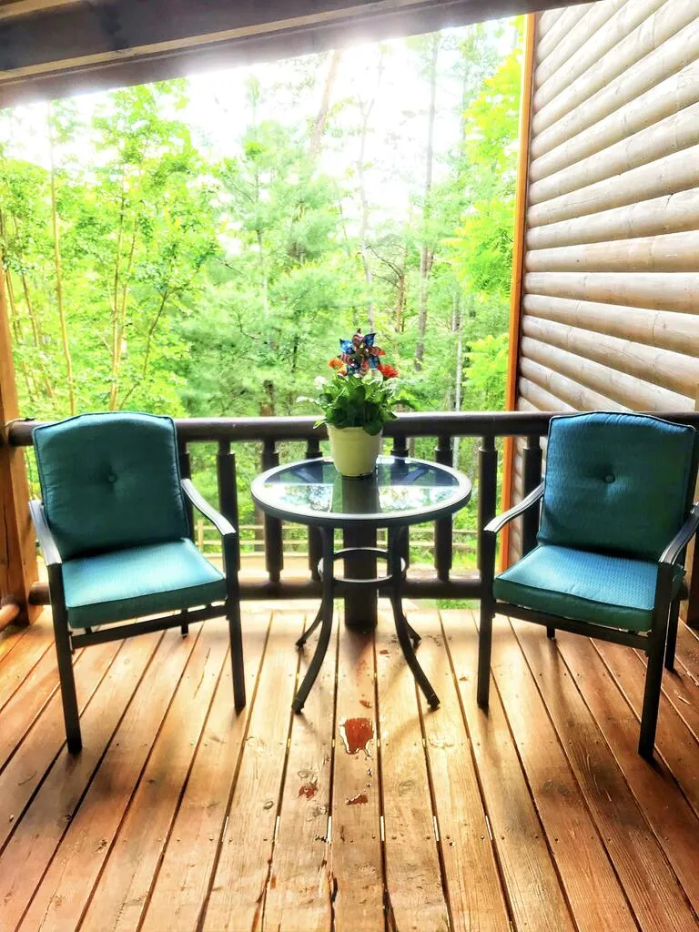 112 Seneca Drive Ellijay, GA 30540