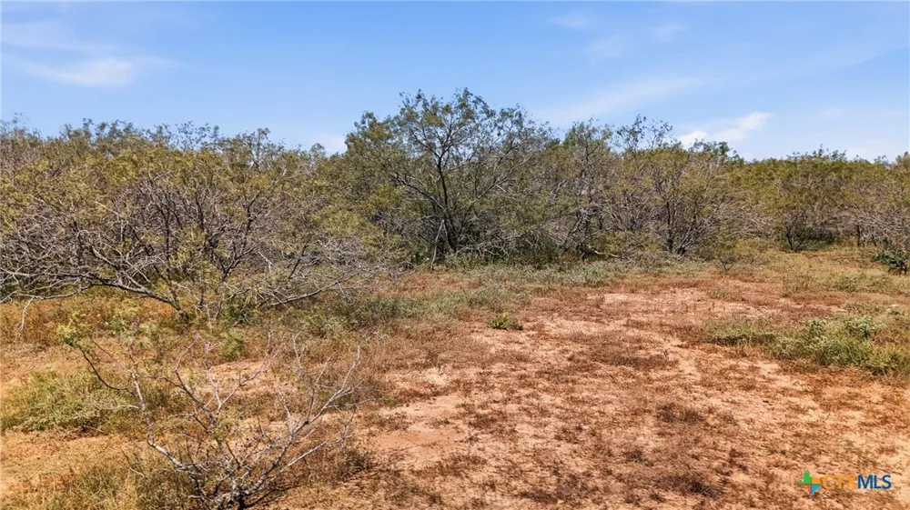 821 CR 482 Gonzales, TX 78629