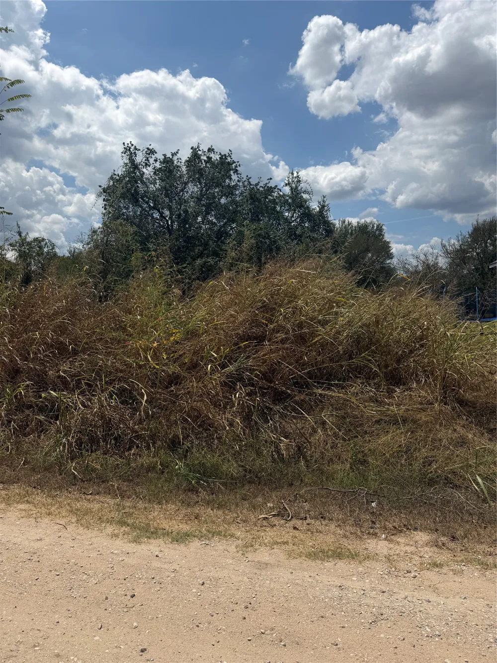 143 Kawainui Lane Bastrop, TX 78602