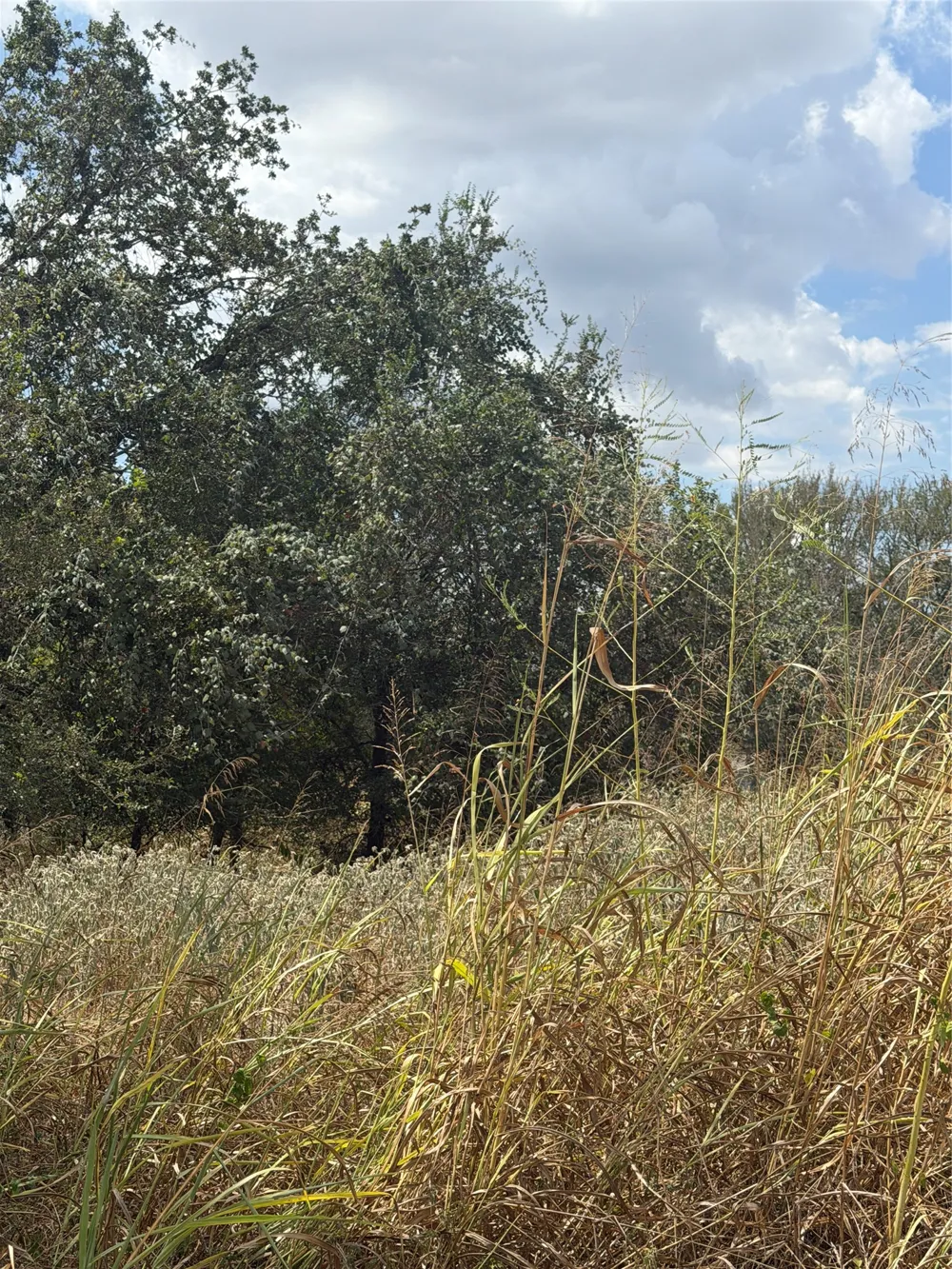 143 Kawainui Lane Bastrop, TX 78602