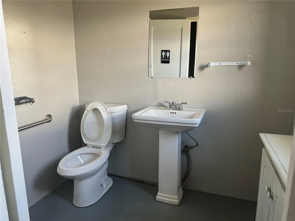 2315 W OLD US HIGHWAY 441 Mount Dora, FL 32757