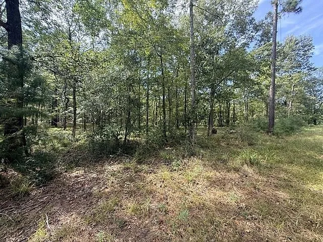 Kings Point Drive Coldspring, TX 77331