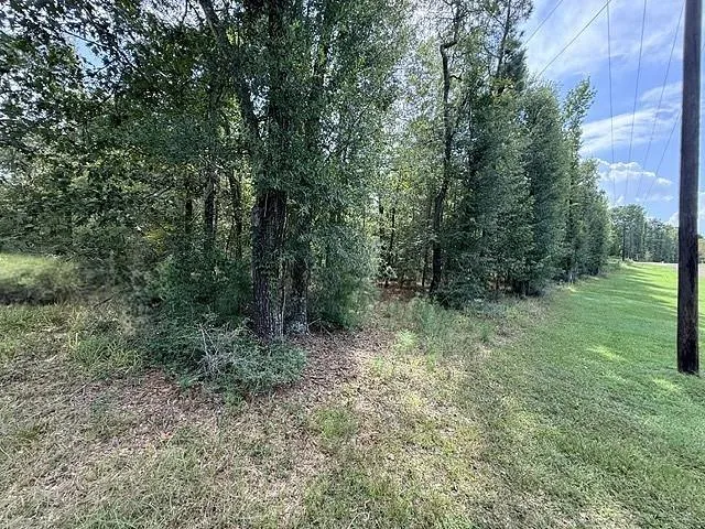 Kings Point Drive Coldspring, TX 77331
