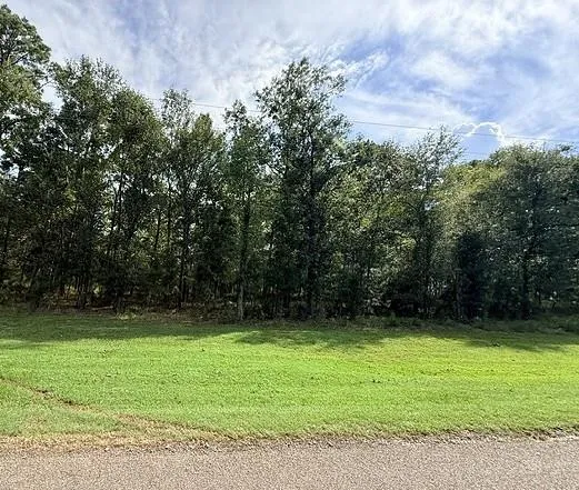 Kings Point Drive Coldspring, TX 77331