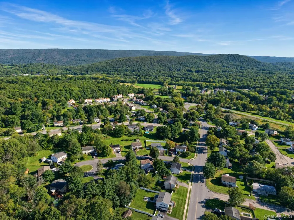 4 Liberty Court Washingtonville, NY 10992