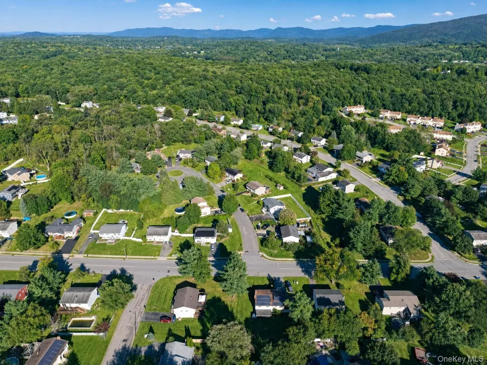 4 Liberty Court Washingtonville, NY 10992
