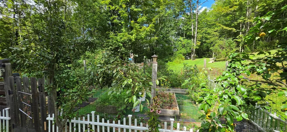 42 Gabriel Road Cochecton, NY 12726