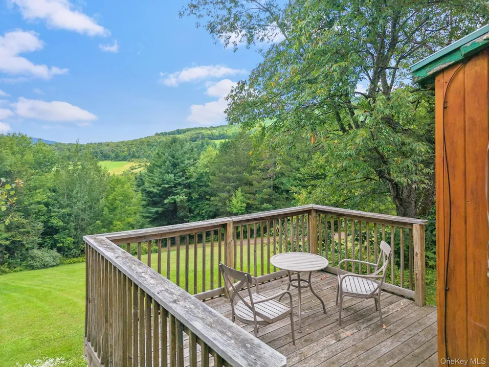 5206 Town Brook Road Stamford, NY 13788