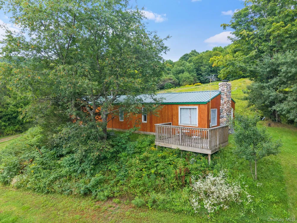 5206 Town Brook Road Stamford, NY 13788
