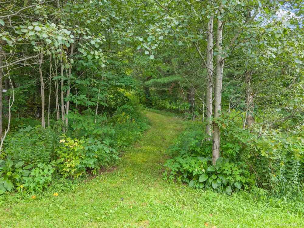 5206 Town Brook Road Stamford, NY 13788