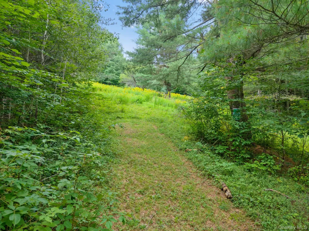 5206 Town Brook Road Stamford, NY 13788