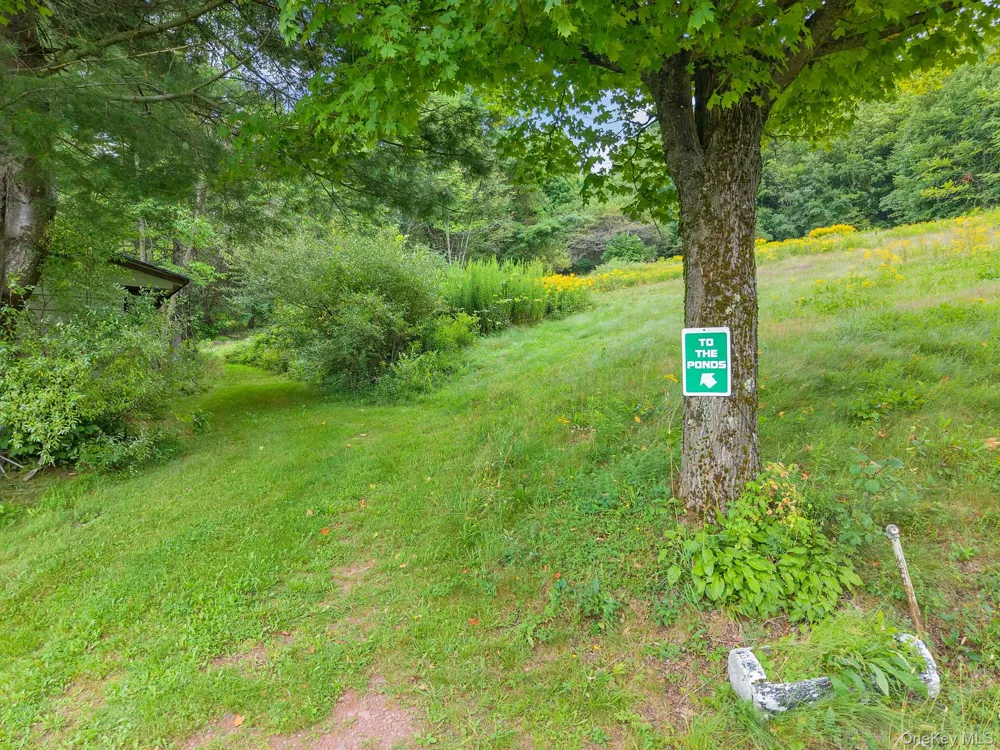 5206 Town Brook Road Stamford, NY 13788