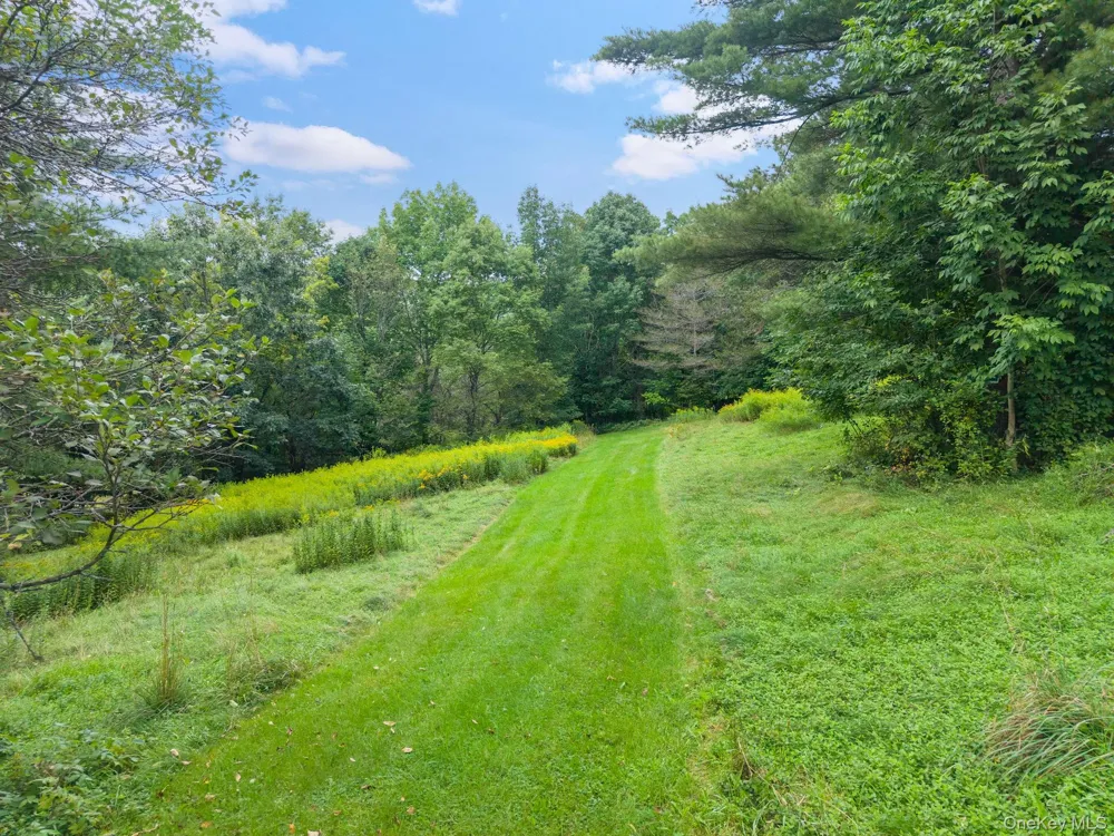 5206 Town Brook Road Stamford, NY 13788