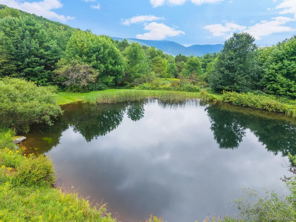 5206 Town Brook Road Stamford, NY 13788