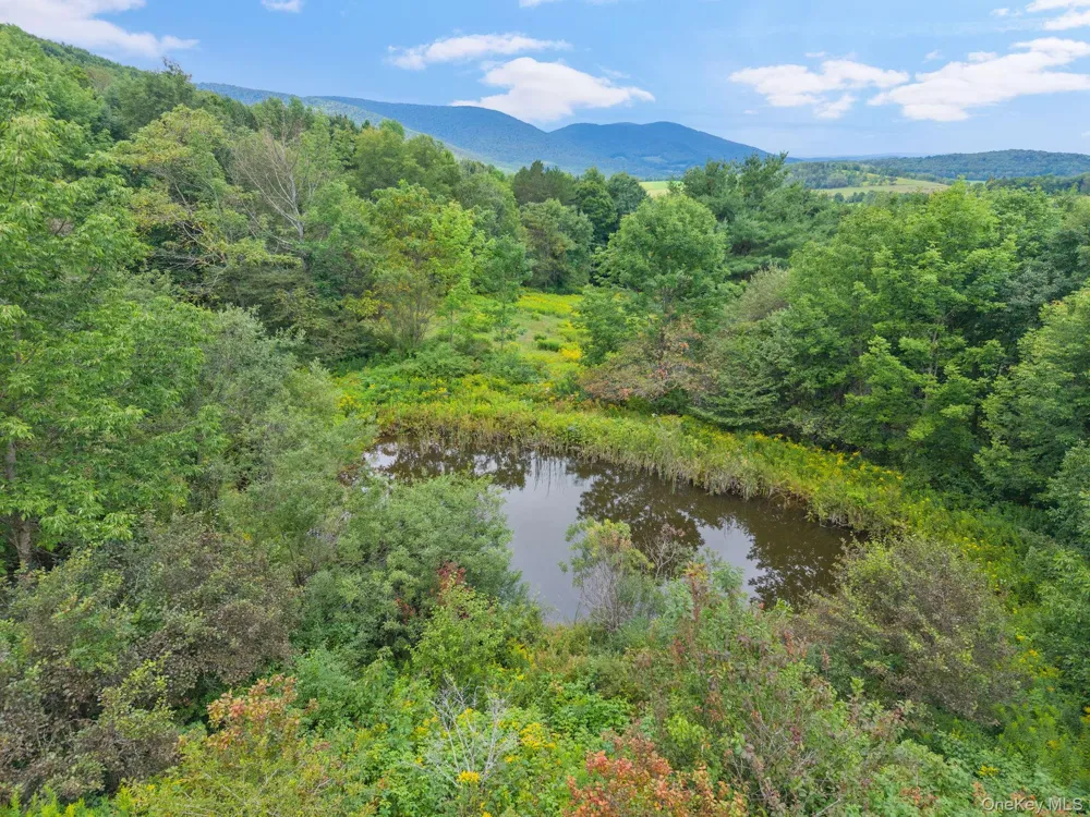 5206 Town Brook Road Stamford, NY 13788