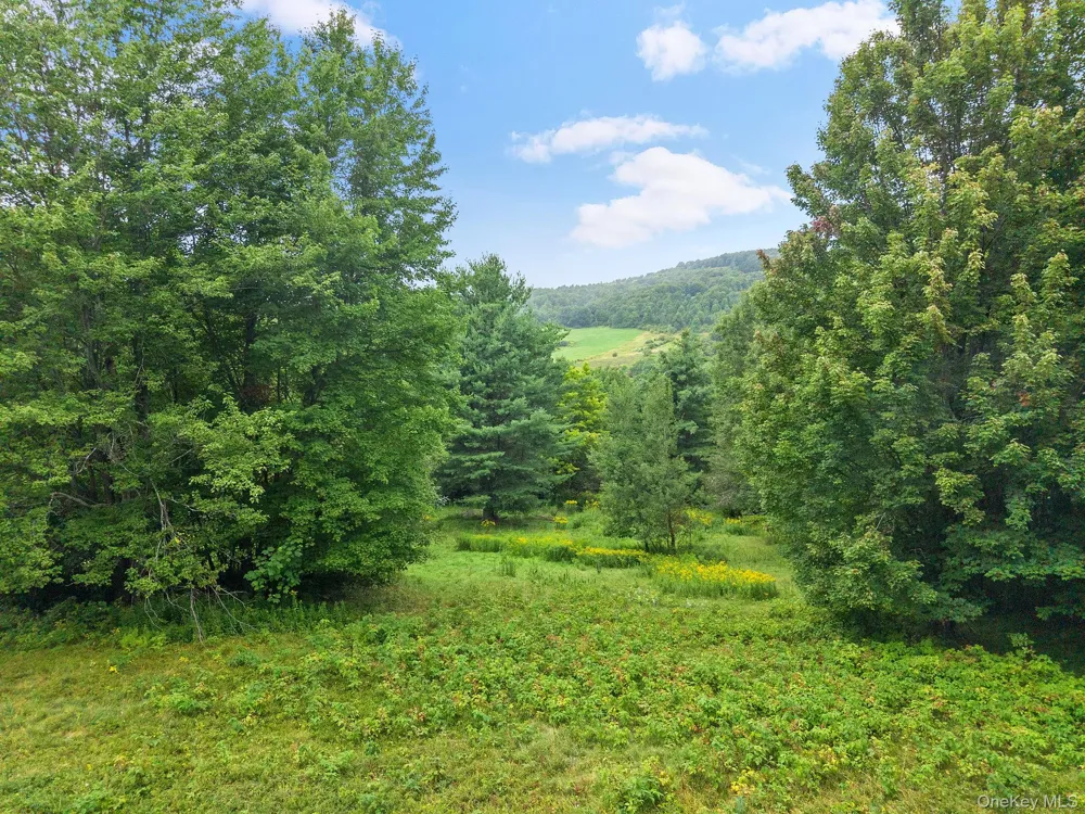 5206 Town Brook Road Stamford, NY 13788