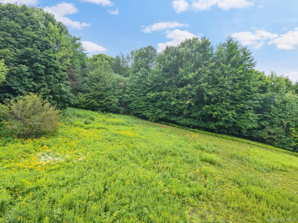5206 Town Brook Road Stamford, NY 13788