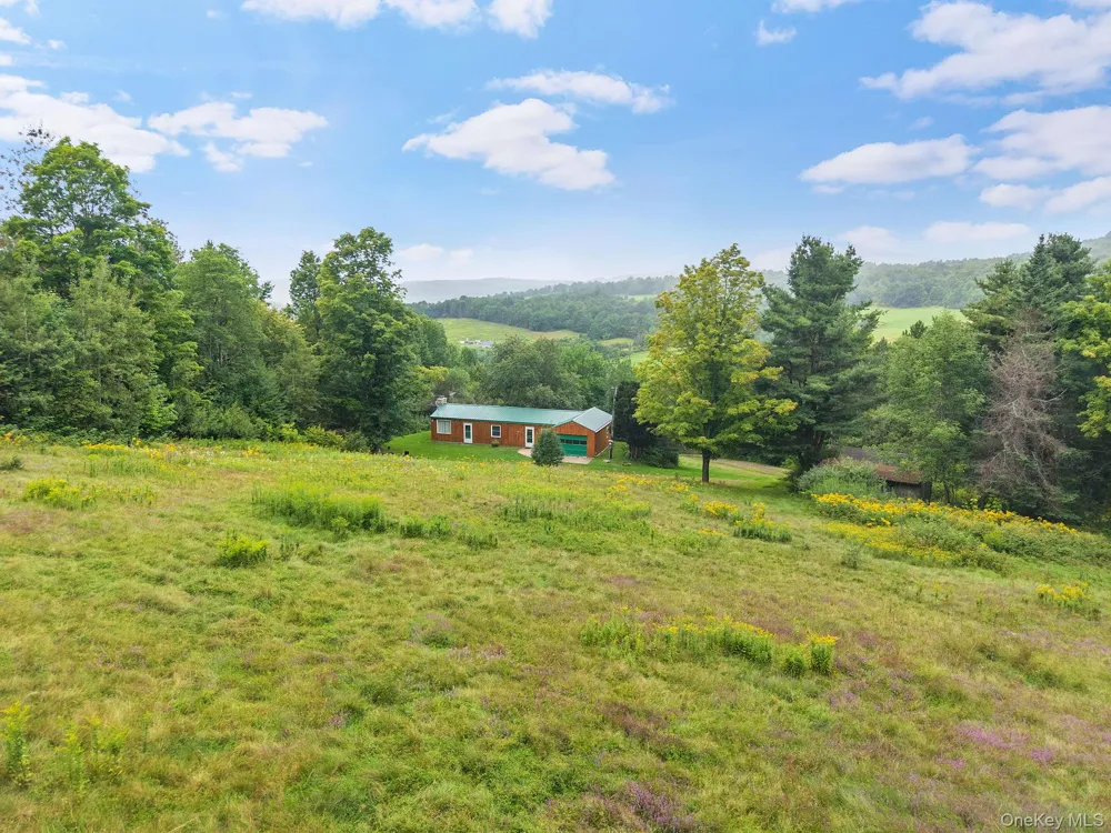 5206 Town Brook Road Stamford, NY 13788