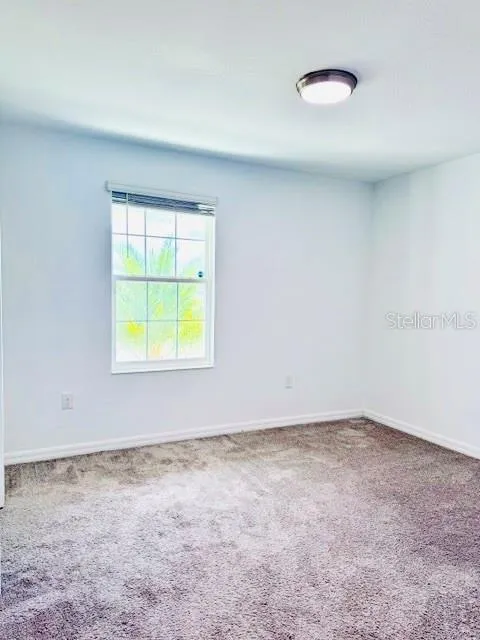 5083 TANZANITE DRIVE Mount Dora, FL 32757