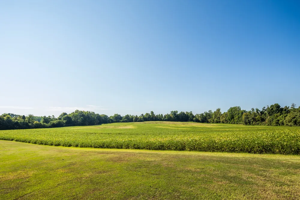 8539 Campground Rd Drummonds, TN 38023