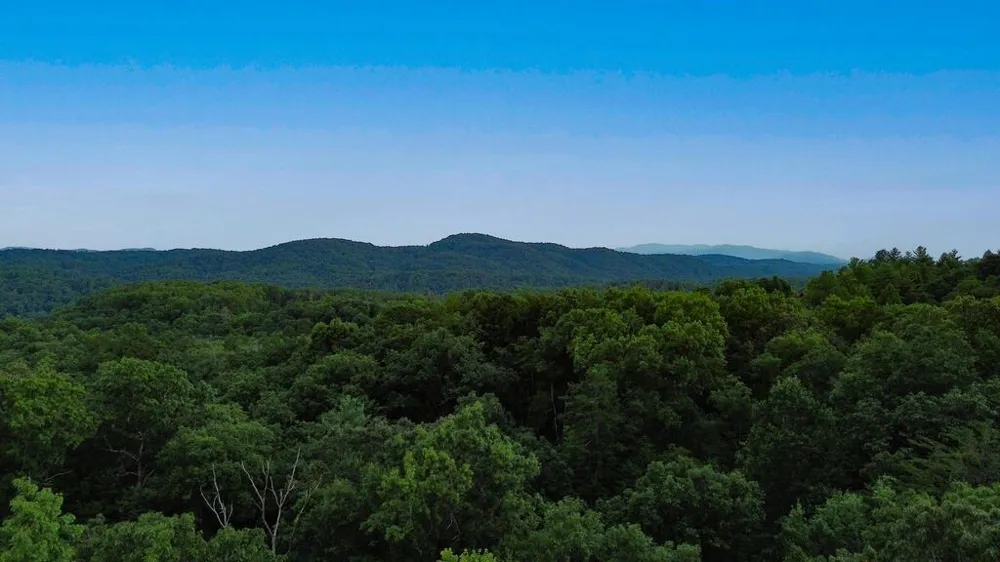 LOT 6 Allaire Lane Mineral Bluff, GA 30559