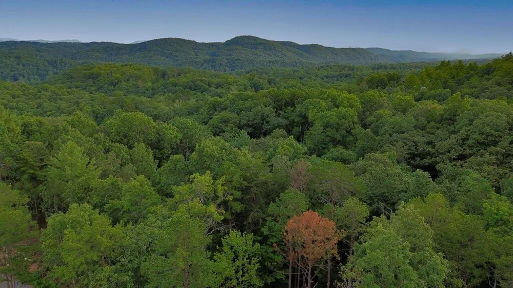LOT 6 Allaire Lane Mineral Bluff, GA 30559