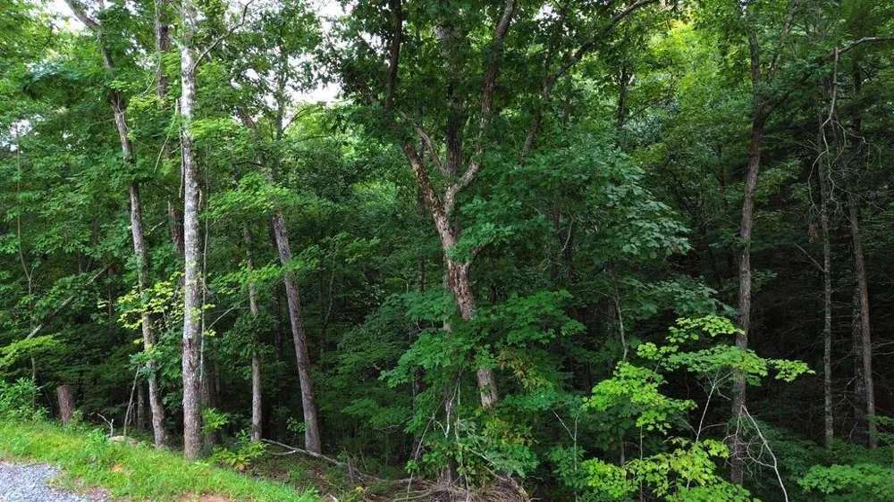 LOT 6 Allaire Lane Mineral Bluff, GA 30559