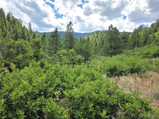 6179 County Road 84 Florence, CO 81226