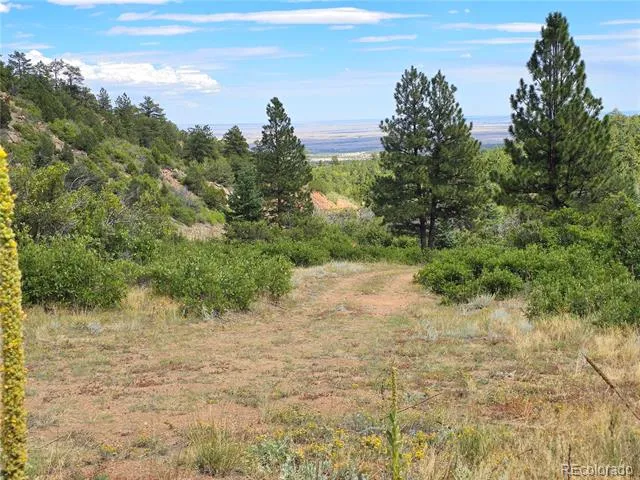 6179 County Road 84 Florence, CO 81226