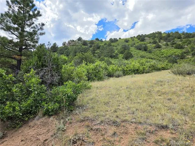 6179 County Road 84 Florence, CO 81226